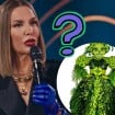 'The Masked Singer Brasil 2024': Quem é o Trevo? Famosa apaixonada por samba é principal aposta. Veja dicas!