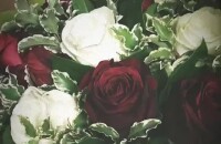 Emilly Araújo ganha buquê de Flores do namorado, Jô Amâncio